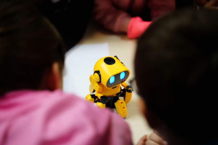 Robotics Classes For Kids Online