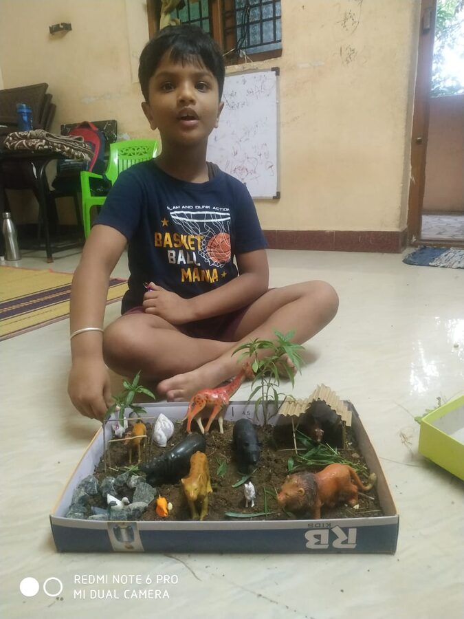 Learner Animal Diorama Project
